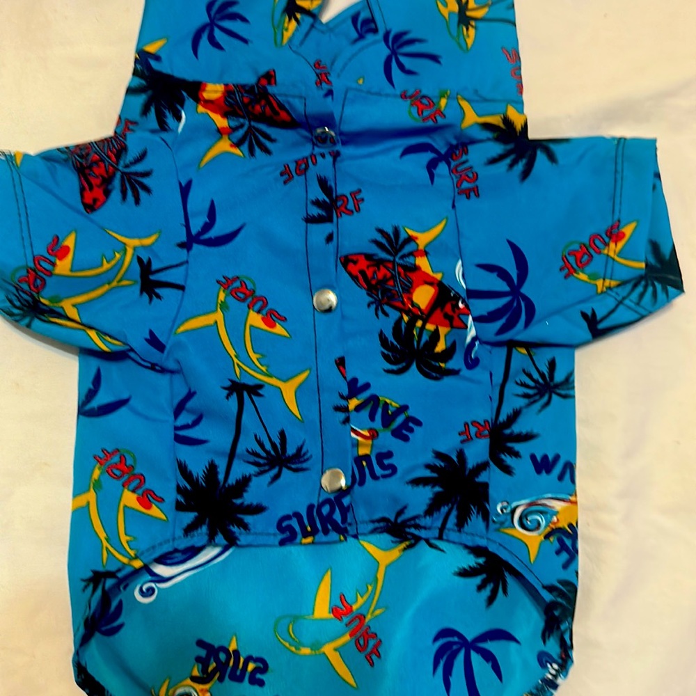 2 Brand Nee Hawaiano shirt